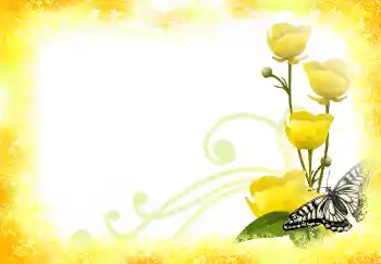 Foto Effekt från kategori Kvinna Fotoramar № 2390 Foto Effekt från kategori Kvinna Fotoramar № 2390