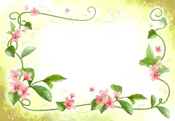 Foto Effekt från kategori Kvinna Fotoramar № 2398