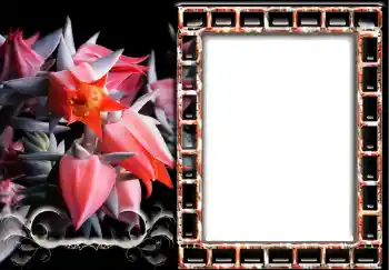 Foto Effekt från kategori Kvinna Fotoramar № 241 Foto Effekt från kategori Kvinna Fotoramar № 241