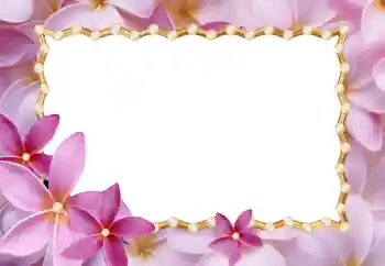 Foto Effekt från kategori Kvinna Fotoramar № 24214 Foto Effekt från kategori Kvinna Fotoramar № 24214