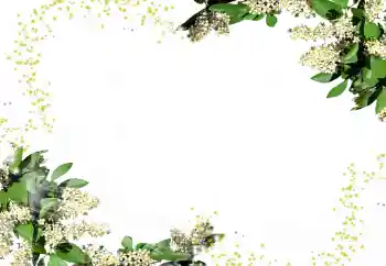 Foto Effekt från kategori Kvinna Fotoramar № 24247 Foto Effekt från kategori Kvinna Fotoramar № 24247