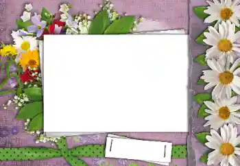 Foto Effekt från kategori Kvinna Fotoramar № 24462 Foto Effekt från kategori Kvinna Fotoramar № 24462