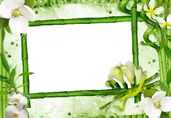 Foto Effekt från kategori Kvinna Fotoramar № 24470 Foto Effekt från kategori Kvinna Fotoramar № 24470