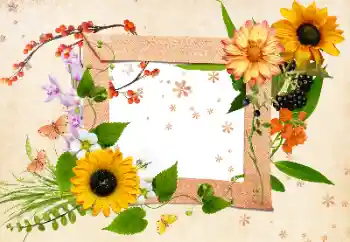 Foto Effekt från kategori Kvinna Fotoramar № 24511 Foto Effekt från kategori Kvinna Fotoramar № 24511