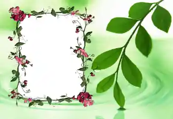 Foto Effekt från kategori Kvinna Fotoramar № 24558