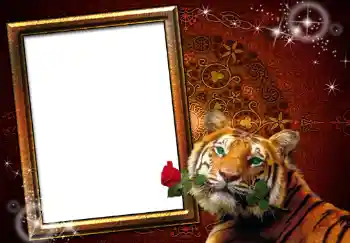 Foto Effekt från kategori Kvinna Fotoramar № 251