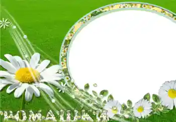 Inskriptionen på ramen: Ромашки.