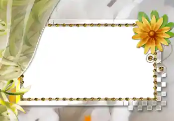 Foto Effekt från kategori Kvinna Fotoramar № 264