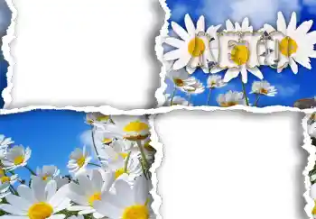 Inskriptionen på ramen: Лето. Inskriptionen på ramen: Лето.