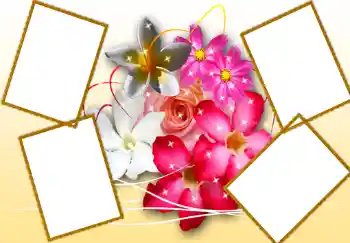 Foto Effekt från kategori Kvinna Fotoramar № 276