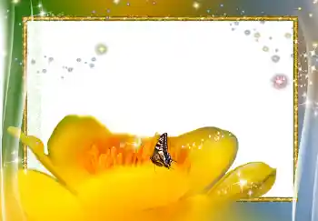 Foto Effekt från kategori Kvinna Fotoramar № 278 Foto Effekt från kategori Kvinna Fotoramar № 278