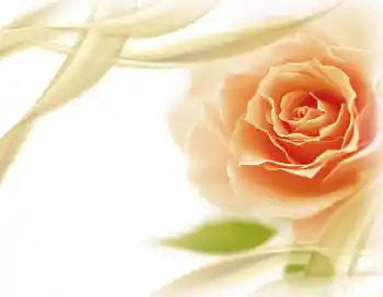 Foto Effekt från kategori Kvinna Fotoramar № 2801