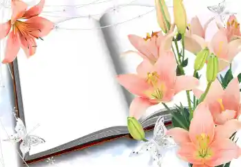 Foto Effekt från kategori Kvinna Fotoramar № 2985 Foto Effekt från kategori Kvinna Fotoramar № 2985