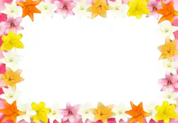 Foto Effekt från kategori Kvinna Fotoramar № 2989 Foto Effekt från kategori Kvinna Fotoramar № 2989