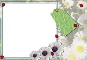 Foto Effekt från kategori Kvinna Fotoramar № 3103