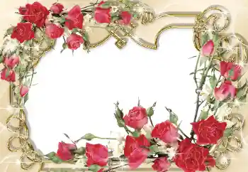 Foto Effekt från kategori Kvinna Fotoramar № 31765