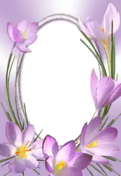 Foto Effekt från kategori Kvinna Fotoramar № 31786 Foto Effekt från kategori Kvinna Fotoramar № 31786