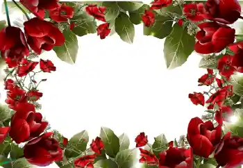 Foto Effekt från kategori Kvinna Fotoramar № 31814 Foto Effekt från kategori Kvinna Fotoramar № 31814