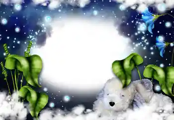 Foto Effekt från kategori Kvinna Fotoramar № 31821 Foto Effekt från kategori Kvinna Fotoramar № 31821