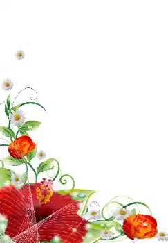 Foto Effekt från kategori Kvinna Fotoramar № 31839 Foto Effekt från kategori Kvinna Fotoramar № 31839