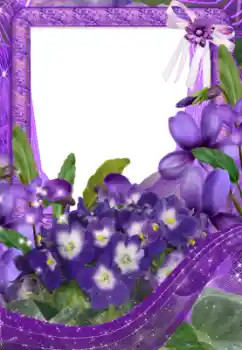 Foto Effekt från kategori Kvinna Fotoramar № 33734 Foto Effekt från kategori Kvinna Fotoramar № 33734