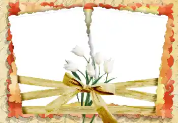 Foto Effekt från kategori Kvinna Fotoramar № 33847