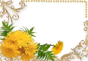 Foto Effekt från kategori Kvinna Fotoramar № 34042