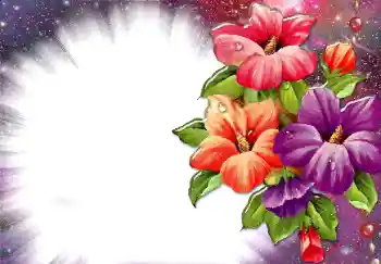 Foto Effekt från kategori Kvinna Fotoramar № 34074 Foto Effekt från kategori Kvinna Fotoramar № 34074