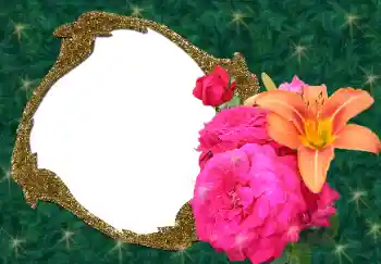 Foto Effekt från kategori Kvinna Fotoramar № 34688 Foto Effekt från kategori Kvinna Fotoramar № 34688