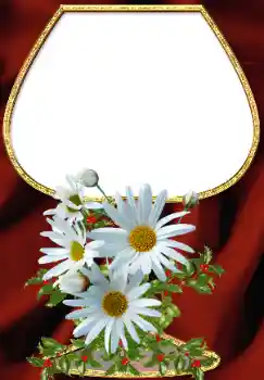 Foto Effekt från kategori Kvinna Fotoramar № 34708 Foto Effekt från kategori Kvinna Fotoramar № 34708