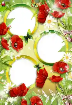 Foto Effekt från kategori Kvinna Fotoramar № 34748