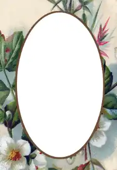 Foto Effekt från kategori Kvinna Fotoramar № 34845