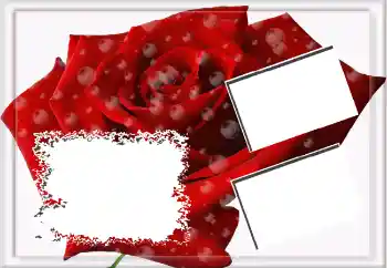 Foto Effekt från kategori Kvinna Fotoramar № 3592 Foto Effekt från kategori Kvinna Fotoramar № 3592