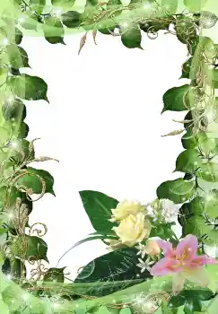 Foto Effekt från kategori Kvinna Fotoramar № 38597 Foto Effekt från kategori Kvinna Fotoramar № 38597