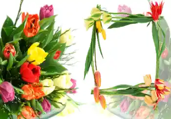 Foto Effekt från kategori Kvinna Fotoramar № 40387 Foto Effekt från kategori Kvinna Fotoramar № 40387