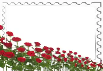 Foto Effekt från kategori Kvinna Fotoramar № 4162