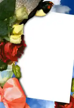 Foto Effekt från kategori Kvinna Fotoramar № 42754 Foto Effekt från kategori Kvinna Fotoramar № 42754