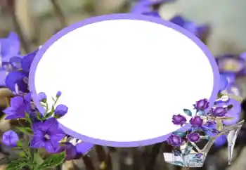 Foto Effekt från kategori Kvinna Fotoramar № 43545 Foto Effekt från kategori Kvinna Fotoramar № 43545