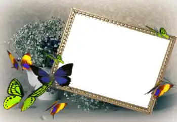 Foto Effekt från kategori Kvinna Fotoramar № 43592