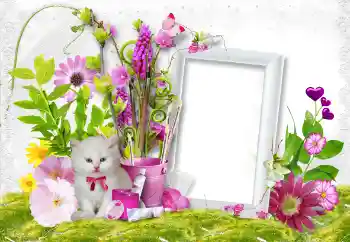 Foto Effekt från kategori Kvinna Fotoramar № 45889