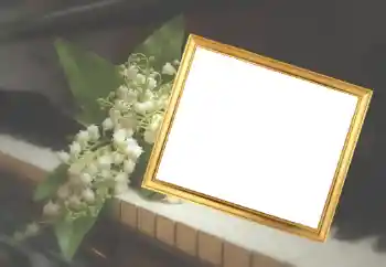 Foto Effekt från kategori Kvinna Fotoramar № 45929