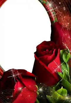 Foto Effekt från kategori Kvinna Fotoramar № 4603