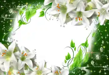 Foto Effekt från kategori Kvinna Fotoramar № 47175