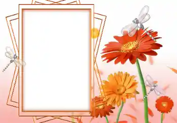 Foto Effekt från kategori Kvinna Fotoramar № 47199