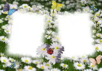 Foto Effekt från kategori Kvinna Fotoramar № 49398