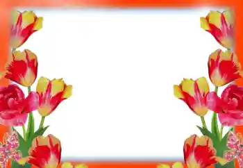 Foto Effekt från kategori Kvinna Fotoramar № 49414