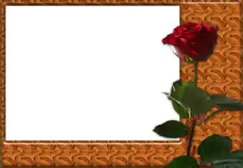 Foto Effekt från kategori Kvinna Fotoramar № 49427 Foto Effekt från kategori Kvinna Fotoramar № 49427