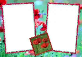 Foto Effekt från kategori Kvinna Fotoramar № 49428 Foto Effekt från kategori Kvinna Fotoramar № 49428