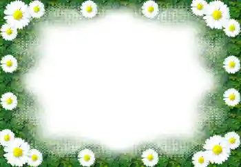 Foto Effekt från kategori Kvinna Fotoramar № 49443