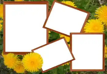 Foto Effekt från kategori Kvinna Fotoramar № 49448